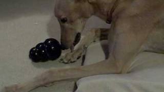 Mar 25 2010 - VID00008.AVI