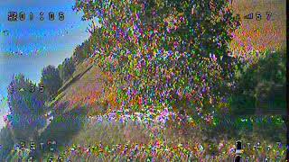 Nothing Fancy [DVR]