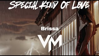 Special Kind Of Love  Brissa cover Vuemix