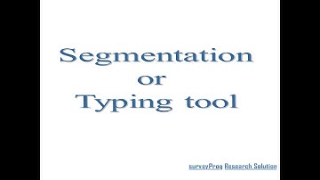 17  Segmentation Typing Tool