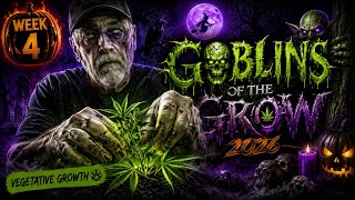 Halloween Grow Off 2026 🎃 Goblins of the Grow Week 4 — Things Are Getting SPOOKY!