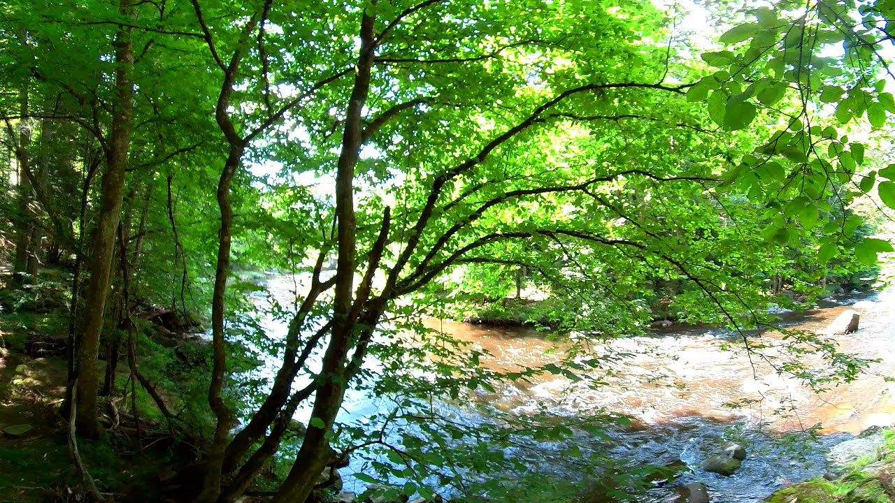 Ilztalwanderweg 360° (03): Schneidermühl