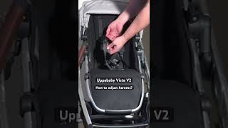 Uppababy Vista V2: Adjusting the Harness