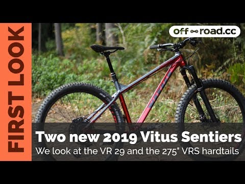 vitus sentier 29 vr 2019