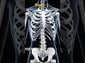 Sciatica pain , part 3 #medical #facts #amazingfacts