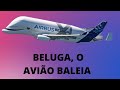 BELUGA, O AVIÃO BALEIA. #beluga #avião #baleia #curiosidades #refugiomental #mundocurioso
