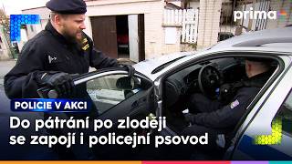 Pozorná sousedka načape zloděje v domě přes ulici | Policie v akci