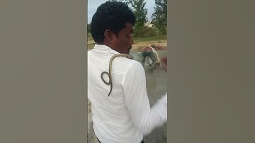 funny snake prank to uncle @A1Prankkannada-zv4ml