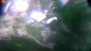 PHYSFX - Magical Dreamscape 001 - Free VFX Stock Video. Raw Camera Footage, No Computer
