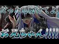 【ゆっくり茶番劇】東方一双録・闘争編　第拾二話『兄貴と救済』