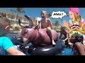GIANT BULL FLOATIE UNICORN AND DUCK KIDS POOL PARTY GIANT BULL FLOATIE UNICORN AND DUCK KIDS POOL PARTY