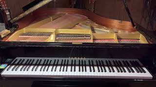 Never Meant To Know By Tally Hall Player Piano Arrangement