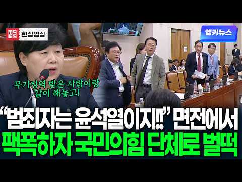 "범죄자는 윤석열이지!!" 면전에서 팩폭하자..국민의힘 단체로 '벌떡'