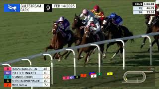 Vidéo de la course PMU MAIDEN CLAIMING