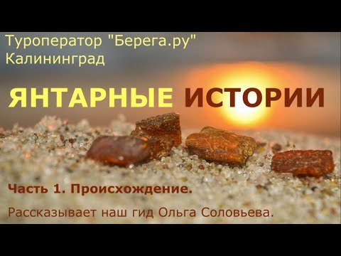 Янтарные истории. 1 часть "Происхождение"