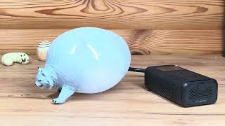 Air Compressor DESTROYS Anti-Stress Toys - INSANE POPPING Test!