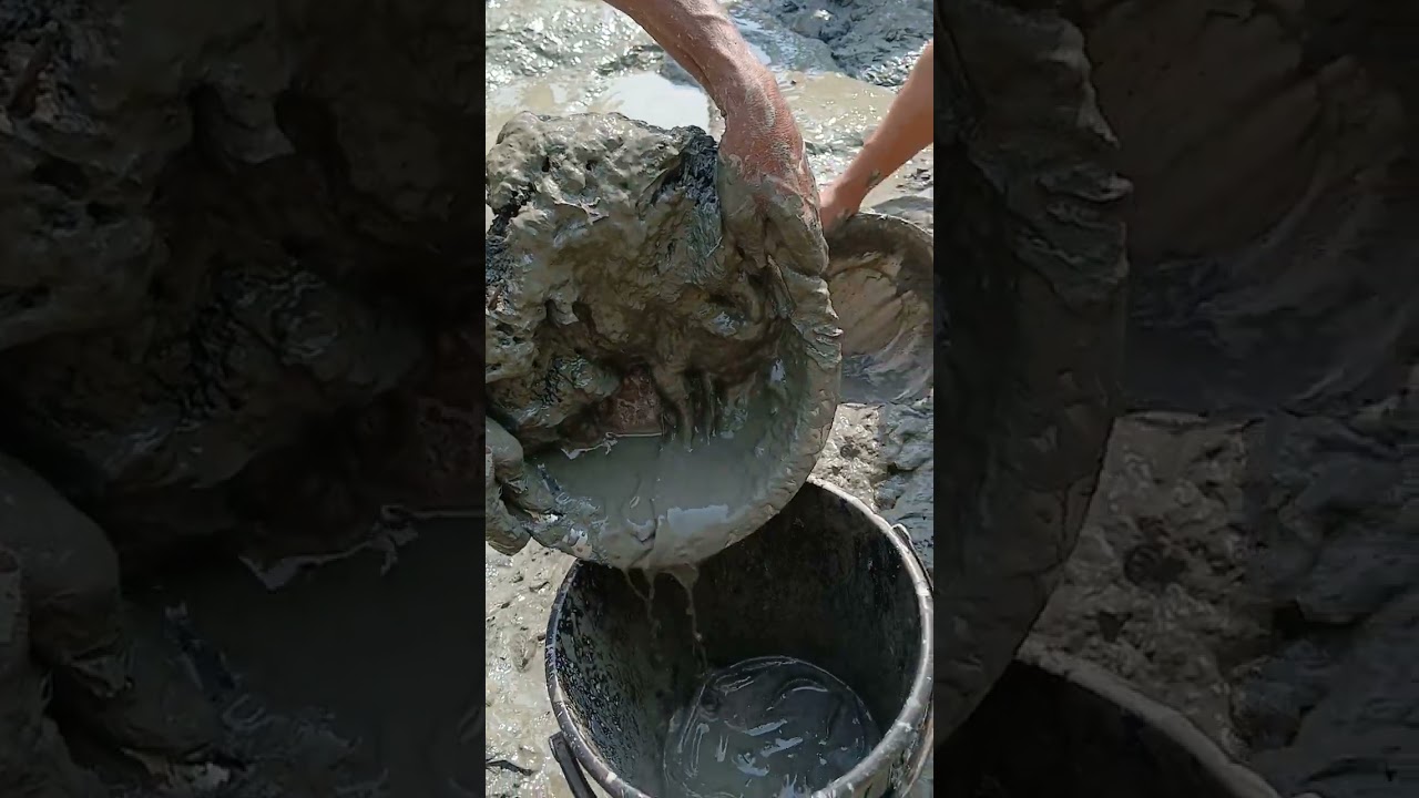 হাতিয়ায় নিজ বাড়িতে ,অল্প পানি, ছোট একটা কুয়া, এত মাছ,  পেয়েছি, আমার ছেলে মেজো ভাই ভাতিজারা সহ।