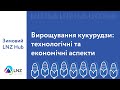 Вирощування кукурудзи: технологічні та економічні аспекти / LNZ Hub / СуперАгроном