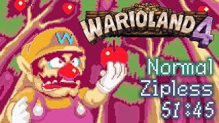 Warioland 4 Any% Normal Zipless (51:45)