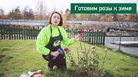 Егорьевский тепличный комбинат - YouTube