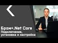 Бром-клиент для .Net Core (урок №1). Подключение, установка и настройка