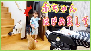 【大興奮🎉】ゆうひなと赤ちゃんが念願の初対面！👶❤️【サプライズドッキリ】