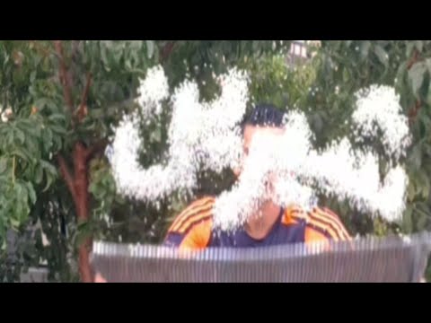 حالات واتس اب اسم شيرين