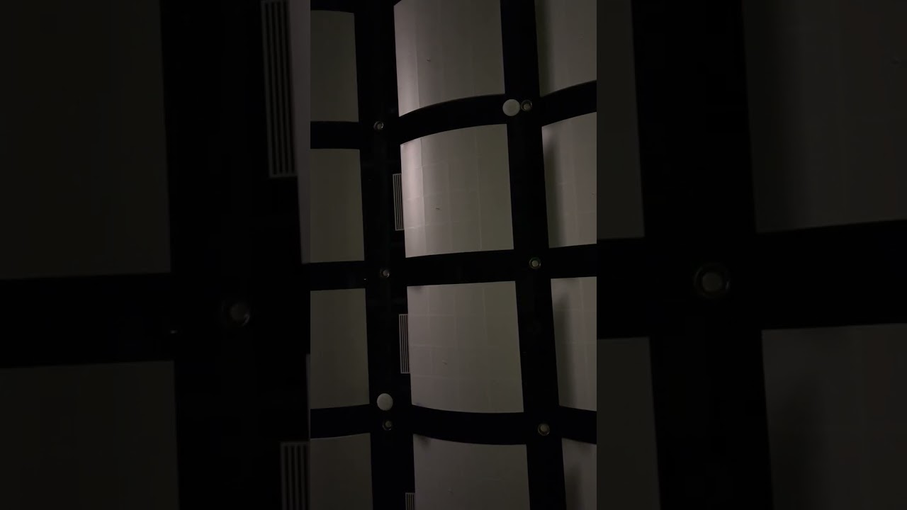 Bamboo Shoots and City Streets Colgan Assesment 