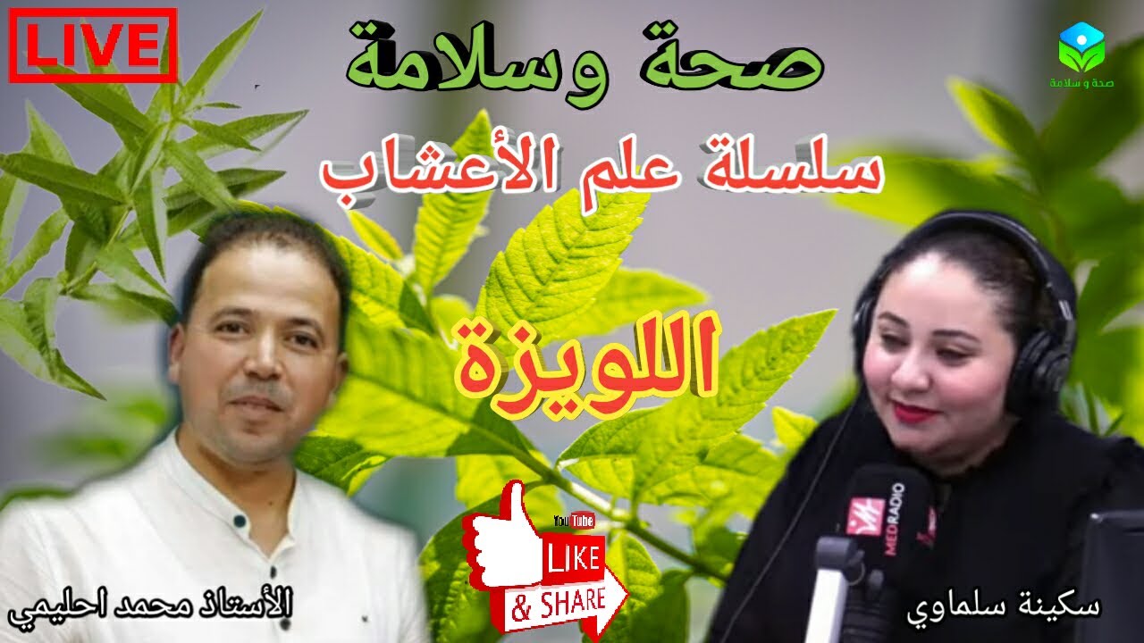 🔴 سلسلة علم الأعشاب 🌿🍃نبتة اللويزة 🍃🌿والفوائد الصحية 🌾وطرق استعمالها في التغذية🌾 الأستاذ محمد أحليمي