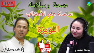 🔴 سلسلة علم الأعشاب 🌿🍃نبتة اللويزة 🍃🌿والفوائد الصحية 🌾وطرق استعمالها في التغذية🌾 الأستاذ محمد أحليمي