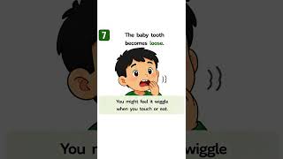 Why do we lose baby teeth? 🦷| Fun Learning for Kids