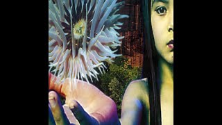 The Future Sound Of London - Lifeforms