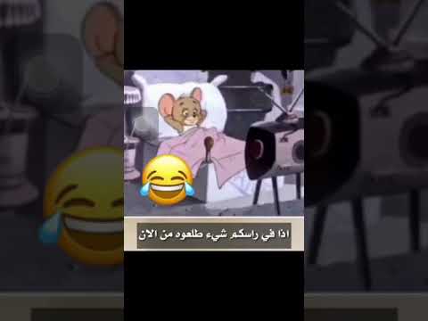 احا ياعم الشيخ
