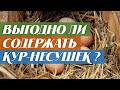 Выгодно ли содержать кур несушек ?