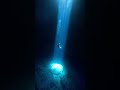 National Express - Dan Bodan #shorts #sea #ocean #music #nature #wildlife