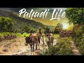 Uttarakhand Village Life || Pahari Lifestyle & Culture Vlog7