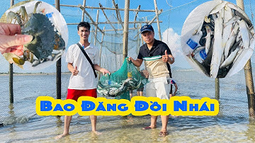 Bao Đăng Đồi Nhái bắt được cá Đuối, Cua, Mực nang, cá Đối....