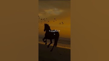 قران كريم #تلاوات_الحَرَم #التراويح #حالات_واتس #الشيخ_ياسر_الدوسري #تلاوة_خاشعة #الحرم_المكي #تلا