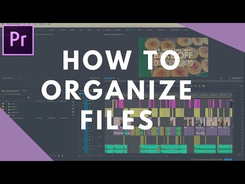 How I Organize Files for Video Editing in Premiere Pro