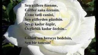 Hayal Gözlüm Songülüm