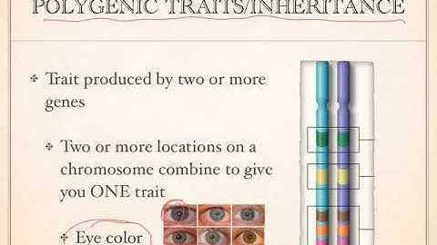 7 2 Complex Patterns Of Inheritance