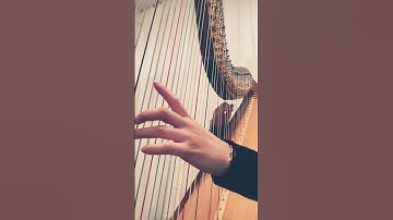 Thumbnail of Flower Dance harp cover #music #harps #harpist #플라워댄스 #하프 #페달하프 #미니하프 #힐링음악 #리라하프