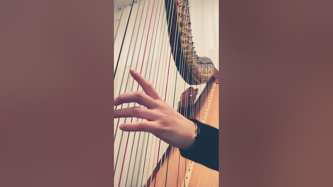 Flower Dance harp cover #music #harps #harpist #플라워댄스 #하프 #페달하프 #미니하프 #힐링음악 #리라하프