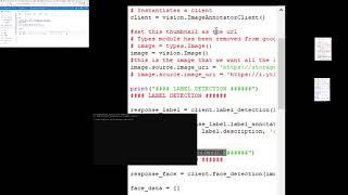 Google Cloud AI: Face recognition + Emotion and sentiment analysis + Object/Face/Text identification