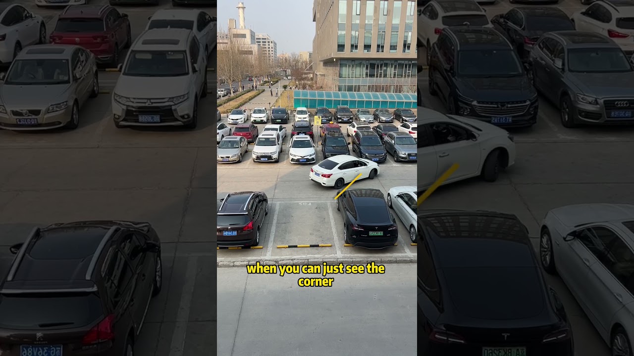 Teach you how to reverse into the garage in 30 seconds.