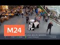 В Японии открылся виртуальный зоопарк с 7D-проекциями - Москва 24