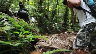 Jalur Tracking [2] | Mt Gede | Stockshot Footage Alam | MVI 0829