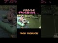 メガバイトにデカいと思ったら、、、、、、