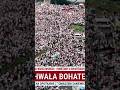 Tysiące uczestników obchodów zaśpiewały hymn Polski, oddając hołd bohaterom Powstania Warszawskiego