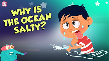 Why Is Ocean Water Salty? | Earth